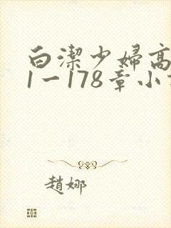 白洁少妇高义第1一178章小说封面