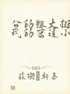 公的粗大挺进了我的密道小说封面