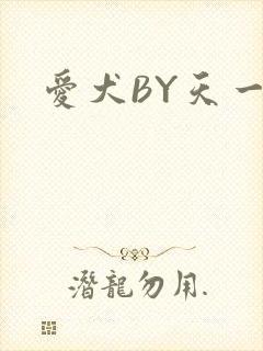 爱犬BY天一封面