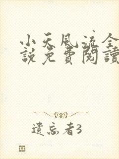 小天风流全集小说免费阅读