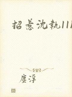 招惹沈执11h封面