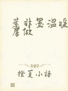 叶非墨温暖在厨房做