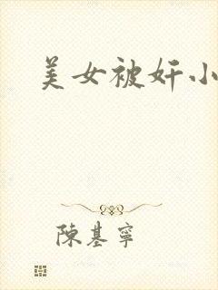 美女被奸小说封面