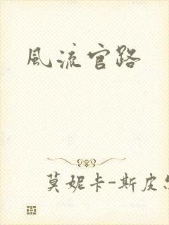 风流官路