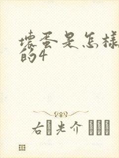 坏蛋是怎样炼成的4封面