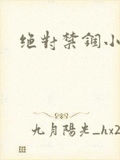 绝对禁锢小说封面