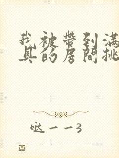 我被带到满是玩具的房间挑调游戏