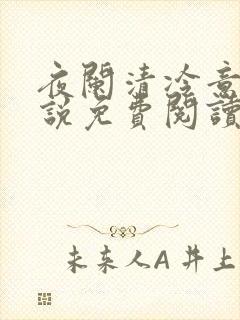 夜阑清冷意欢小说免费阅读