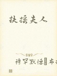扶摇夫人封面