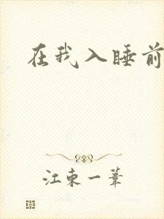 在我入睡前封面