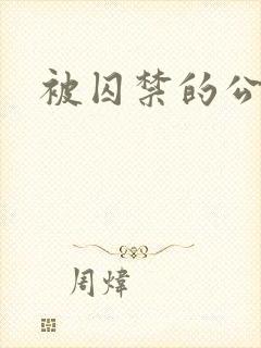 被囚禁的公主封面