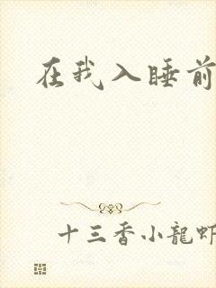 在我入睡前封面