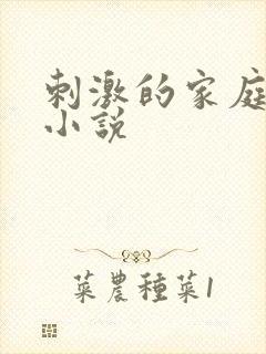 刺激的家庭乱仑小说