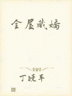 金屋藏娇封面