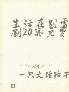 生活在别处电视剧20集免费观看