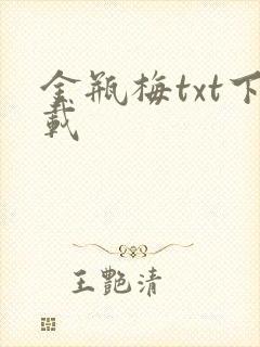 金瓶梅txt下载封面