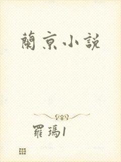 兰京小说封面