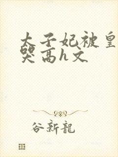 太子妃被皇上c哭高h文封面