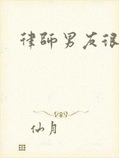 律师男友很难撩