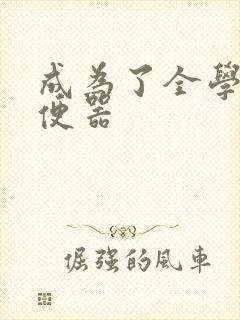 成为了全学校坐便器