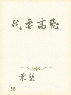 我要高飞封面