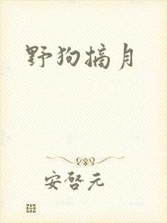 野狗摘月