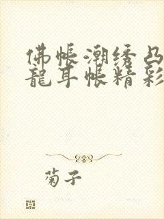 佛帐潮绣凸浮双龙耳帐精彩片段