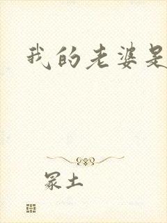 我的老婆是军阀