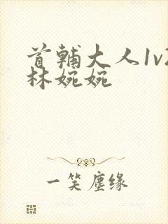 首辅大人1v2林婉婉封面