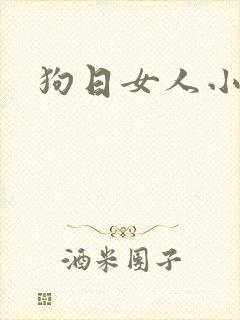 狗日女人小说