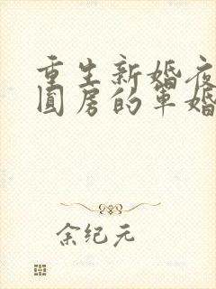 重生新婚夜正在圆房的军婚