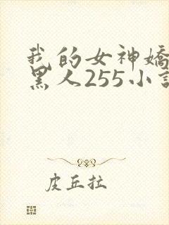 我的女神娇妻与黑人255小说封面