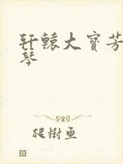 轩辕大宝芳菲雅琴