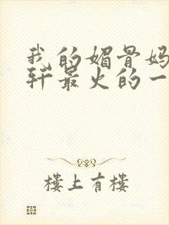 我的媚骨妈妈林轩最火的一句