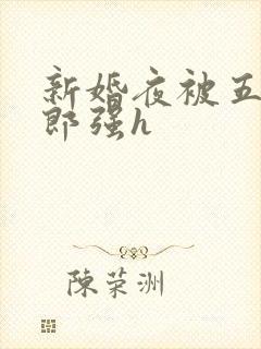 新婚夜被五个伴郎强h