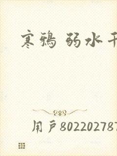 寒鸦 弱水千流封面