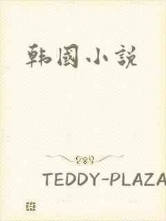 韩国小说封面