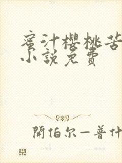 蜜汁樱桃苦咖啡小说免费