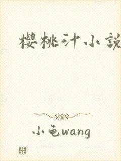 樱桃汁小说