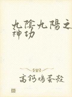 九阴九阳之阴阳神功封面