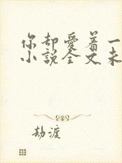 你却爱着一个他小说全文未删减免费封面