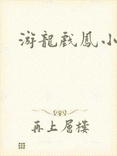 游龙戏凤小说封面