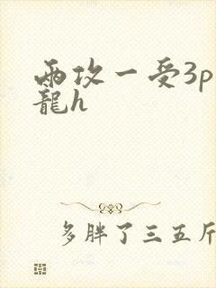两攻一受3p双龙h封面