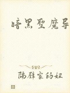 暗黑圣魔导封面