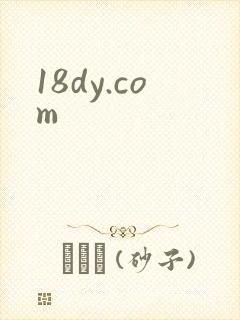 18dy.com