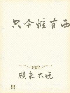 只今惟有西江月封面