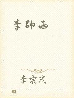 李帅西封面