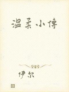 温柔小传