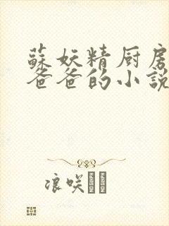 苏妖精厨房爹爹爸爸的小说