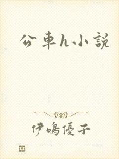 公车h小说
